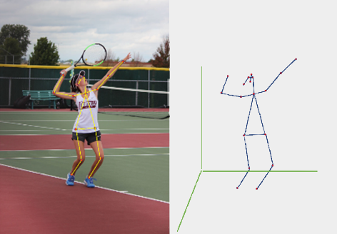 The 3-D posture estimation