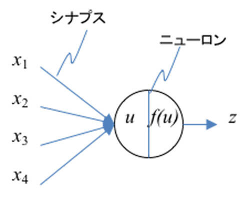 図3 ニューラルネットワークにおけるシナプスとニューロン