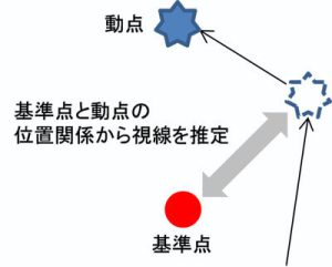 図1 視線計測の基本原理