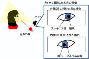 図2 近赤外の点光源を用いた視線計測の概要