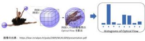 図1 HOF特徴の概要