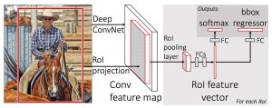 図2 Fast R-CNNの構造