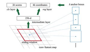 図2 Region Proposal Network(RPN)の概要
