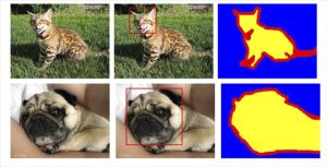 The Oxford-IIIT Pet Dataset