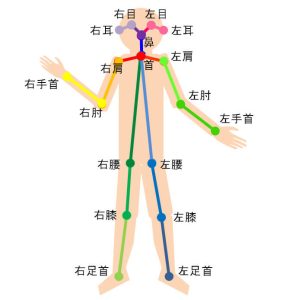 Open Poseで求めることができる関節位置